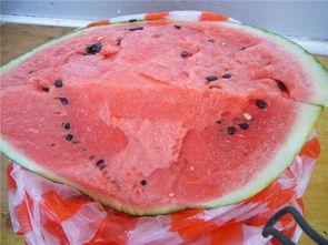 吃瓜直播里什么是吃白糖,吃白糖背后的趣味与奥秘