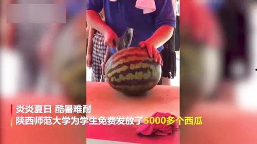 大学吃瓜视频在线,吃瓜视频背后的真实生活