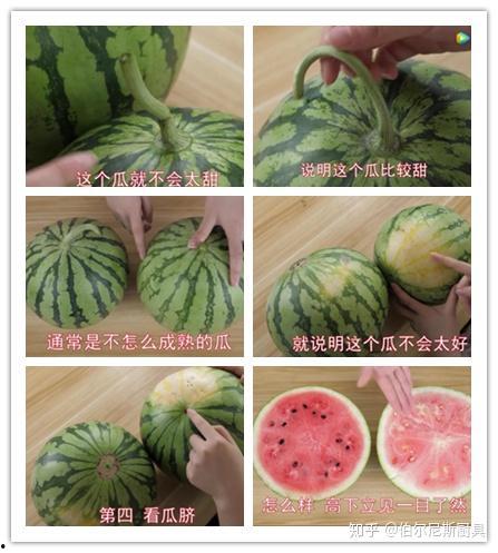 最漂亮的吃瓜,盘点那些最漂亮的吃瓜瞬间