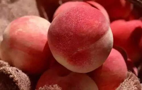 吃瓜望桃子,揭秘吃瓜望桃子的趣味生活